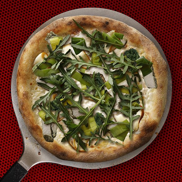 Patrick green secret